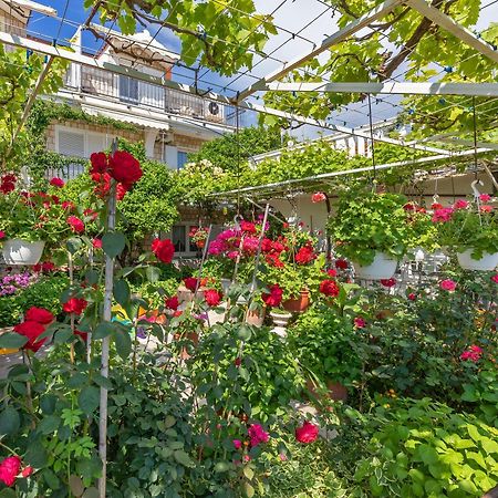 Apartmani Galic 2 Млини Экстерьер фото