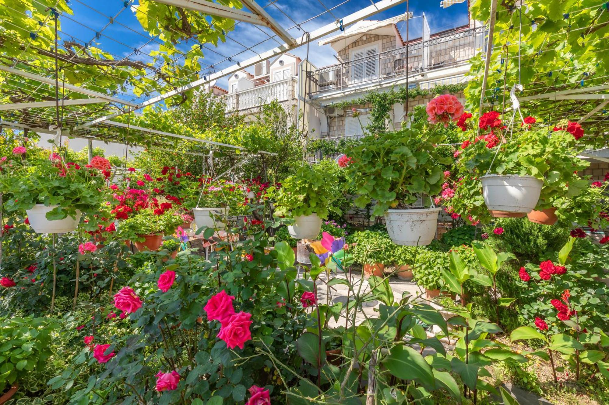 Apartmani Galic 2 Млини Экстерьер фото